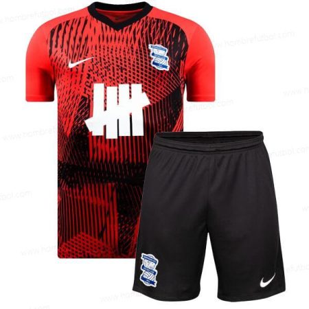Camiseta Birmingham City Niños Kit de Fútbol 23/24 2a Replica