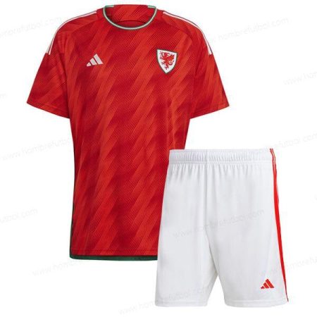 Camiseta Gales Niños Kit de Fútbol 2022 1a Replica